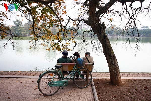 Bạn già hàn huyên